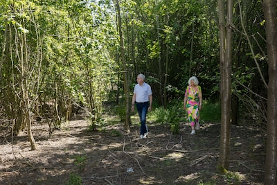 In 2016 plantte Dronten dit bos, nu komen opeens de kettingzagen: ‘Hier leven vogels en vleermuizen’