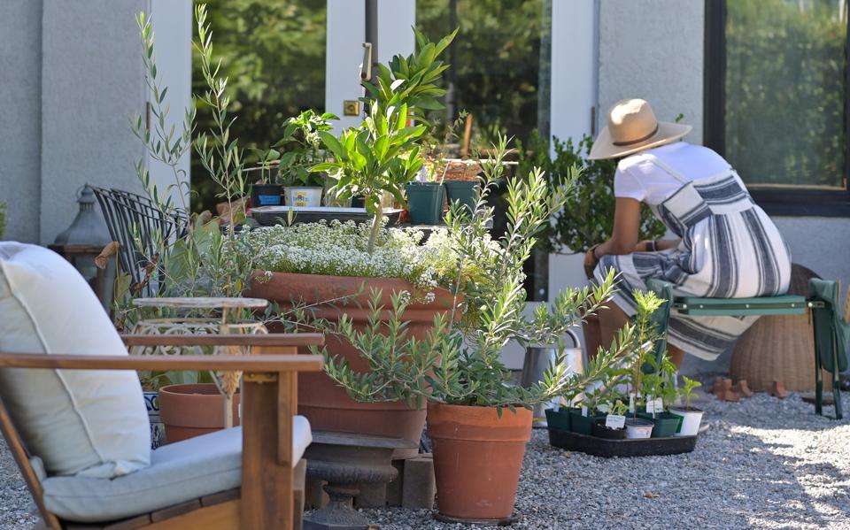 Vakantietip van tuinman Martin: ga aan de slag in jouw eigen Tuinesië, of ga gluren bij de buren