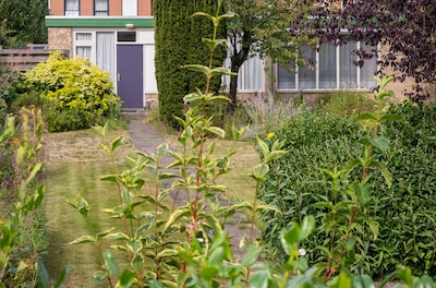 Omwonenden Smidsweg slepen Ermelo voor de rechter om opvang minderjarige vluchtelingen