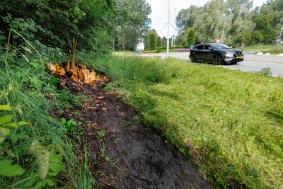 Deskundigen keihard na ongeval met boom waarbij ondernemer (45) omkwam: ‘Op Streetview was al te zien dat de populier rot was’