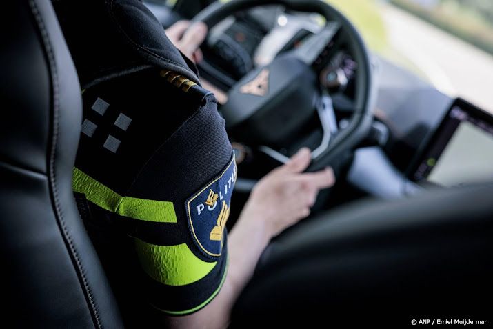 Bij rellen Wijk bij Duurstede ook inzet van ME, honden en paarden