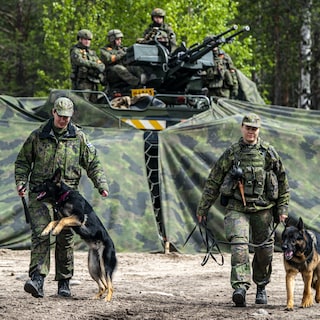 Noordse en Baltische landen bezorgd over troepenopbouw Rusland, zeker nu VS militaire bijdrage terugschroeft
