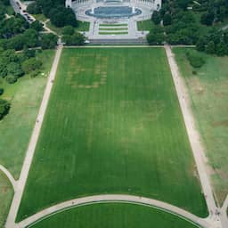 Cijfers die verwijzen naar verzet tegen Trump verschijnen in gras in Washington