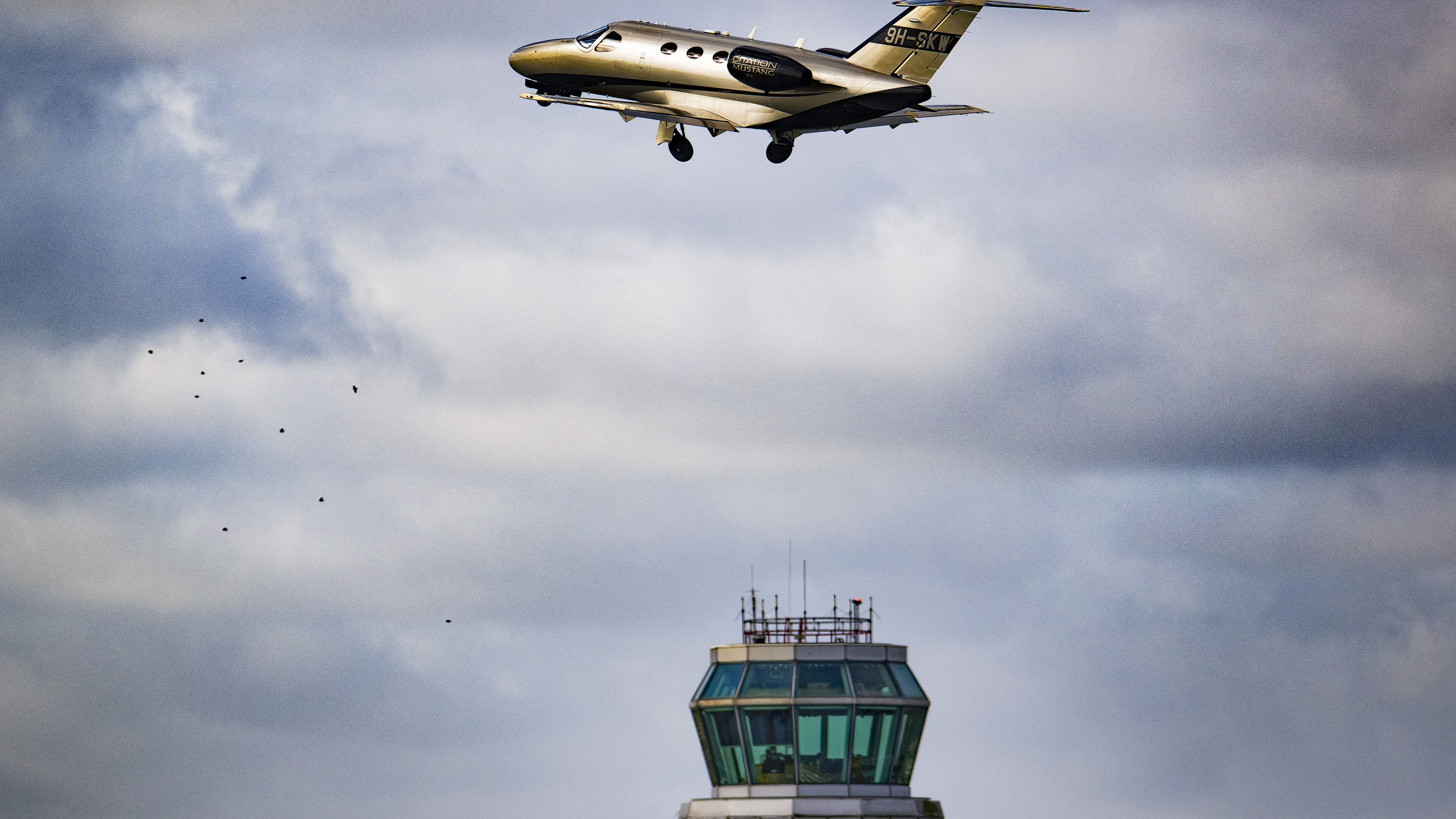 Irritatie over verzwijgen noodregeling voor Maastricht Aachen Airport: ‘Je moet de guts hebben dat geld gewoon te vragen’