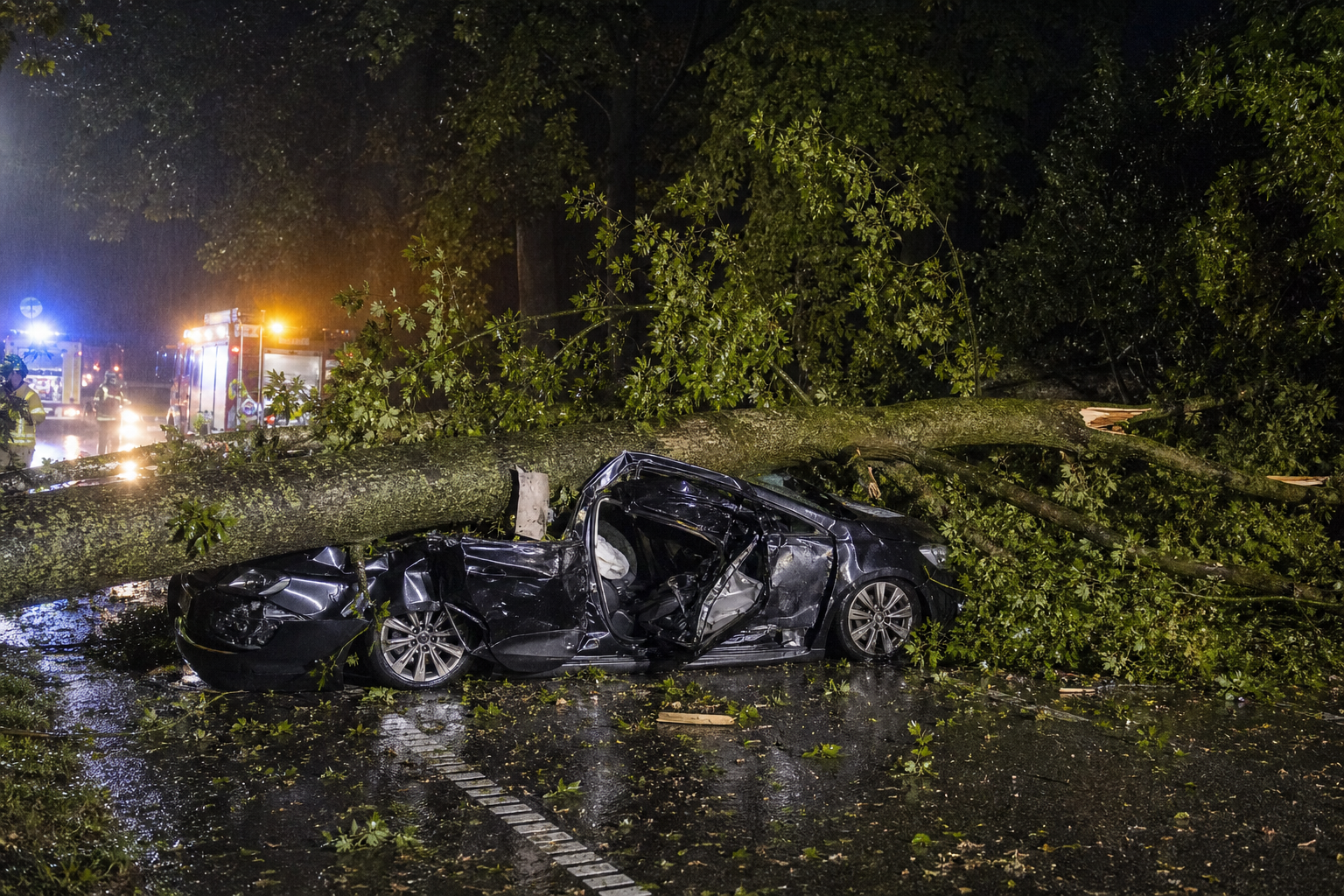 Bestuurder omgekomen door boom op auto tijdens onweer in Drenthe