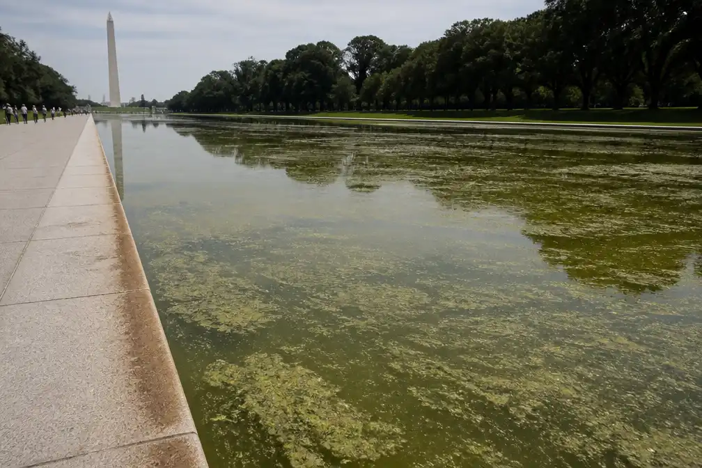 Trump wijt problemen reflectievijver aan vandalen, vijver wordt leeggepompt